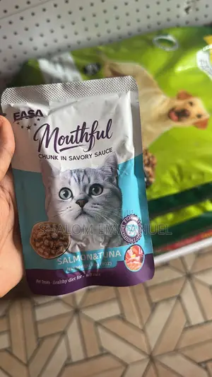 Mouthful Chunks in Savory Sauce - Tasty Cat Treats