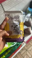 Mouthful Chunks in Savory Sauce - Tasty Cat Treats - 2