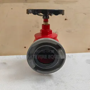 Brand New Threaded Landing Valve