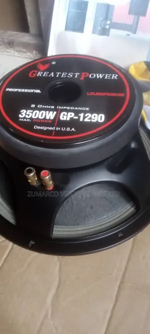 GP 3500 Watts Naked Speaker