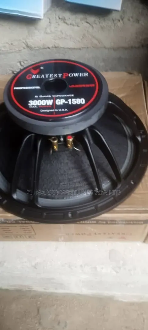 3000W GP Naked Speakers - 1