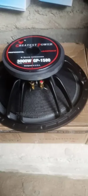 3000W GP Naked Speakers