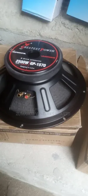 2500W Greatest Power Naked Speaker