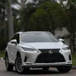 Lexus RX 350 2022 White - 2