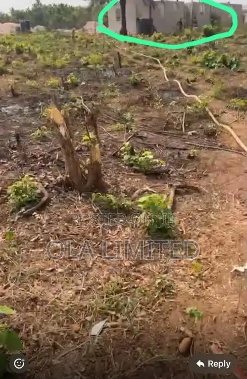 4 Plots of Land for Sale in Siun, Obafemi-Owode - 1