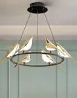 Sabon d.light Driver - Sashen Haske - 2