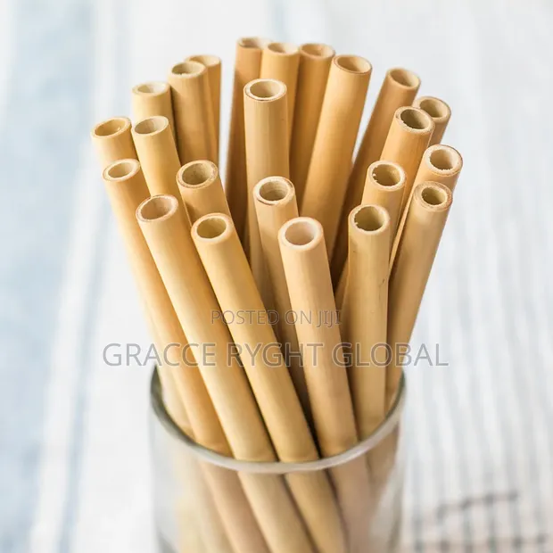10pcs Bamboo Straws - 1