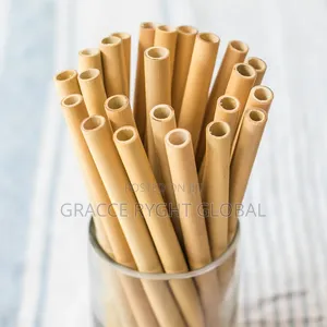10pcs Bamboo Straws