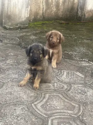 1-3 Watan Namiji Mai Tsarki Na Jaruman Jamus