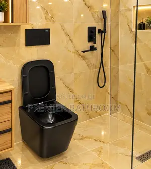 Square Black Concealed Water Closet
