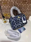 Coach Luxury Female Handbag - 4