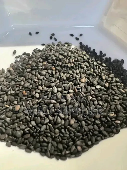 Black Sesame Seeds Available - 1