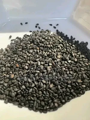 Black Sesame Seeds Available
