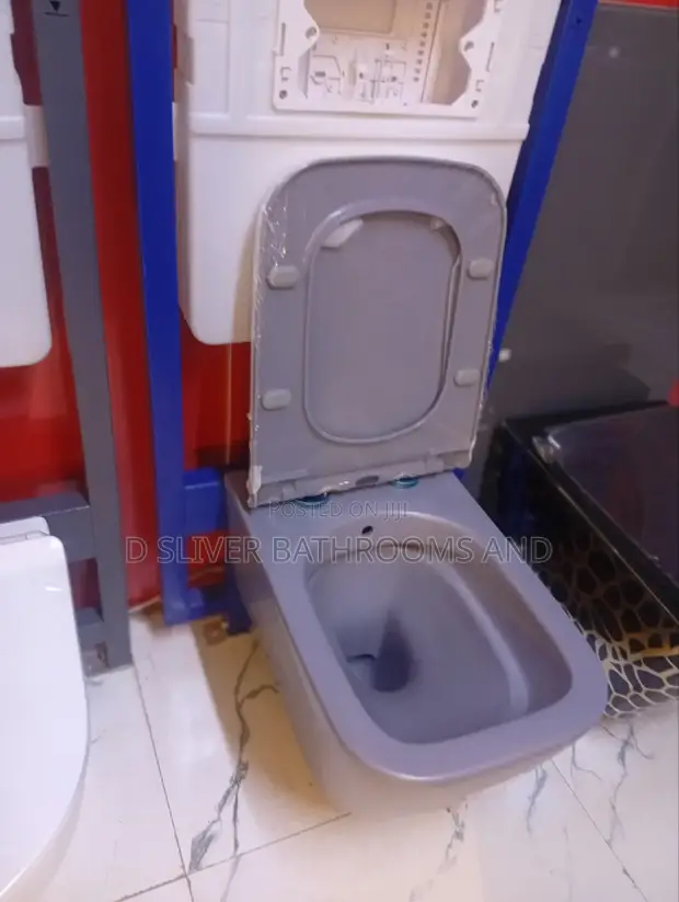 Modern Wall-Hung Concealed Water Closet - Grey - 1