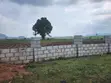 Distress Sale: 350sqm Estate Land in Ivy Gold Estate, Idu - 1