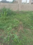 1,320 sqm Residential Land for Sale in Kaura - 2