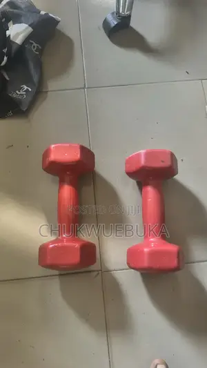 Bodygym 5kg Dumbbell Set (Used)