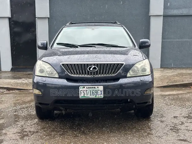 Lexus RX 330 2006 Shuɗi - 1