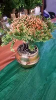 Decorative Table Flower - Brand New - 2