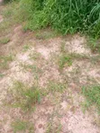 Residential Land for Sale in Enugu - 2
