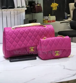 2-in-1 Luxury Chanel Ladies Bag