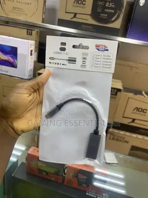USB-C to DisplayPort Adapter - 4K Support