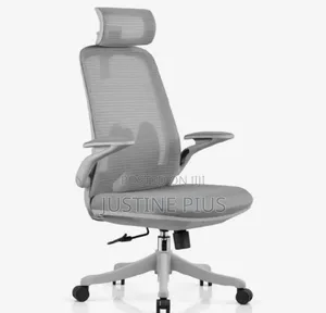 Brand New Office Chair - Gray