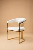 Luxe Arm Chairs - Brand New - 1
