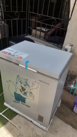 Skyrun BD180AI Chest Freezer - Brand New