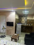 1 Bedroom Short Let Apartment in Ikorodu - 2