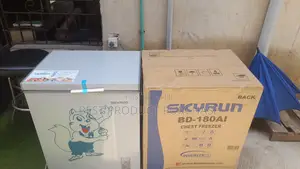 Skyrun BD180AI Commercial Chest Freezer - Brand New