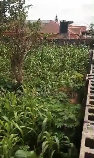 Filin 100x200ft Mai Shinge a Wurin Kwanciyar Hankali GRA, Benin City
