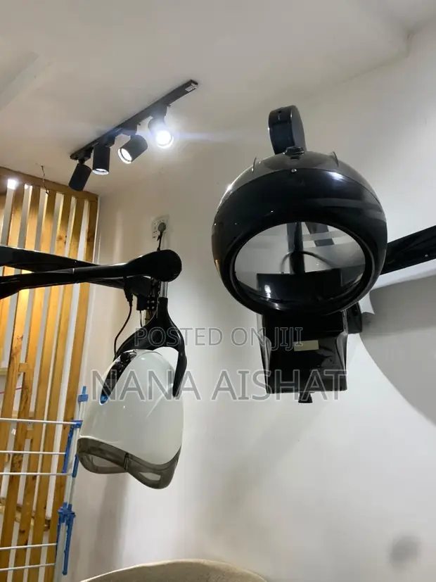 Hair Dryer and Steamer - Used - 1