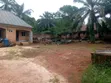 20-Bedroom Farm House for Sale in Adebo, Enugu - 5