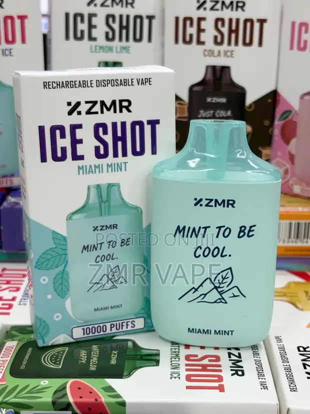 ZMR Iceshot Miami Mint Rechargeable Disposable Vape - 10,000 Puffs - 1