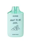 ZMR Iceshot Miami Mint Rechargeable Disposable Vape - 10,000 Puffs - 2