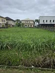 600sqm Residential Bareland in Lakeview Park, Orchid - 2