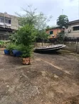 Commercial Property for Sale, Adeniyi Jones Ikeja Lagos - 5