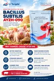 Probiotic Feed Additive (Bacillus Subtilis) for Pigs - 2