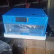 ZENZINNY AGRIC Injin Saka Kwai ta Atomatik (32 Kwai) - 2