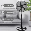 18-Inch Standing Fan - 1