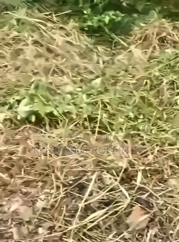 2 Plots of Land in Unilag Estate Magodo - 1