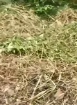 2 Plots of Land in Unilag Estate Magodo - 1