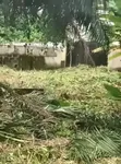 2 Plots of Land in Unilag Estate Magodo - 4