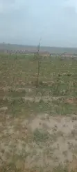 Filin Estate 200sqm da C of O a Gundumar Idu, Abuja - 2