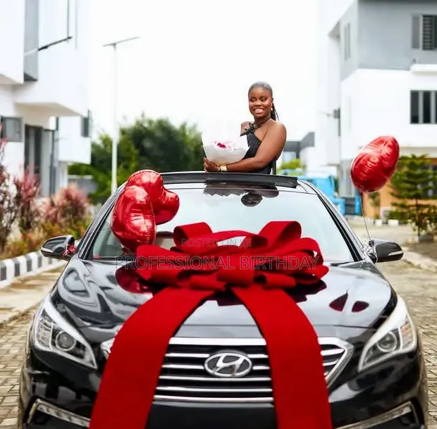 Luxury Car Bows - Lagos - 1