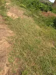 4 Bedroom Terrace Duplex with BQ in Pyakasa-Kiti North, Abuja - 1