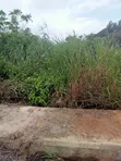 Commercial Plot for Sale, Abiola Gasline, Cannacity - 5