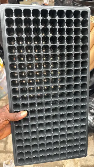 Tushen Tsaba 128 Hole - Baki