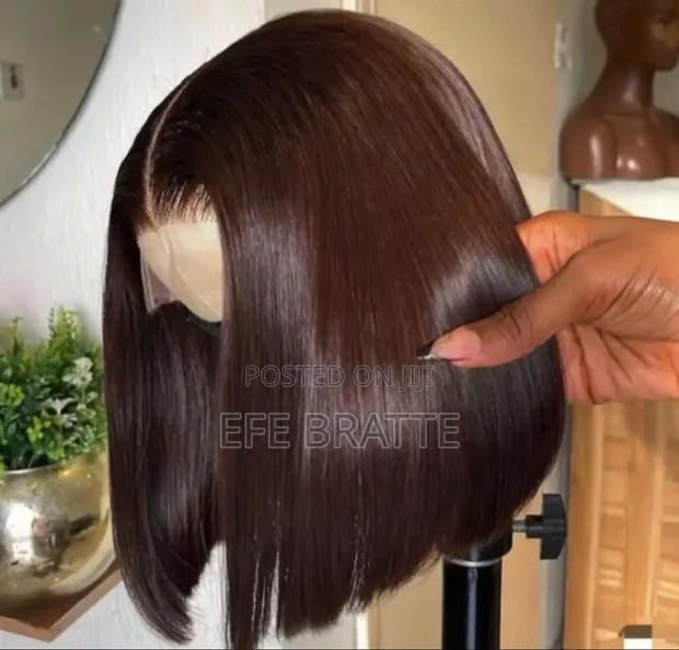 Vietnamese Bone Straight Wig 10" with 2x6 Closure - 1